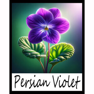 Flower Series: Persian Violet