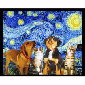 Pet Starry Night