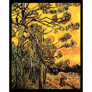 Pine Trees Against an Evening Sky