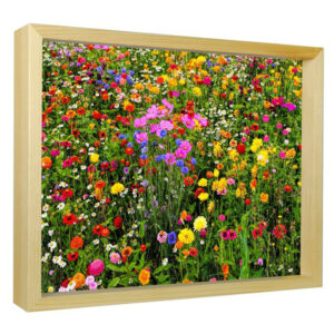 Pretty Flowers - Sun Art Print