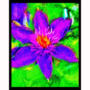 Purple Clematis