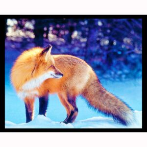 Red Fox