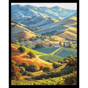 Rolling Gold Vineyard