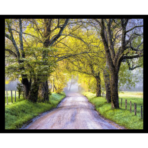 Scenic Spring Landscape