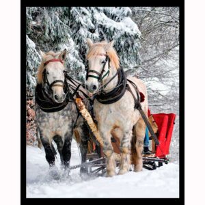 Sleigh Ride Horses