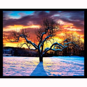Snow Covered Sunset