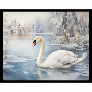Snow Swan