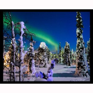 Snowy Northern Lights