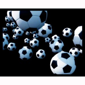 Soccer Balls