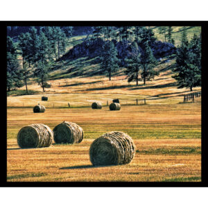 South Dakota Countryside