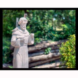 St. Francis of Assisi