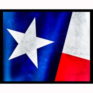 Texas Flag
