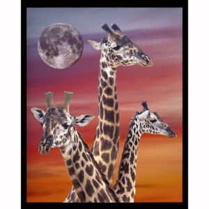 Three Giraffes