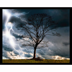 Tree and Storm