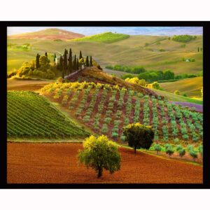 Tuscan Landscape