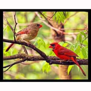 Two Cardinals in Tree