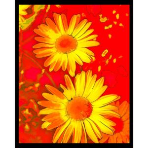 Organics - Two Daisies