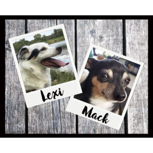 Two Polaroids - Custom LED Light