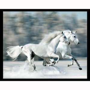 Two White Horses