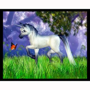 Unicorn and Butterfly