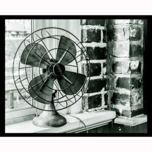 Vintage Fan