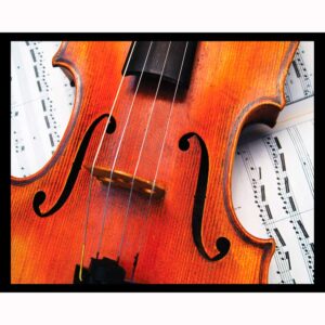 Violin