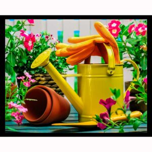 Watering Can