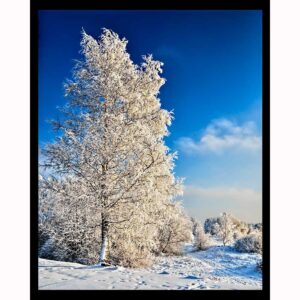 Winter Transformation