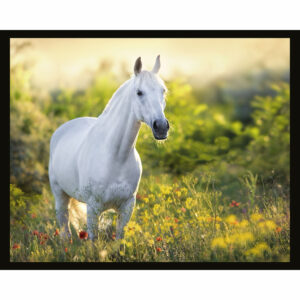 White Horse in Flowers