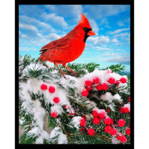 Winter Northern Cardinal